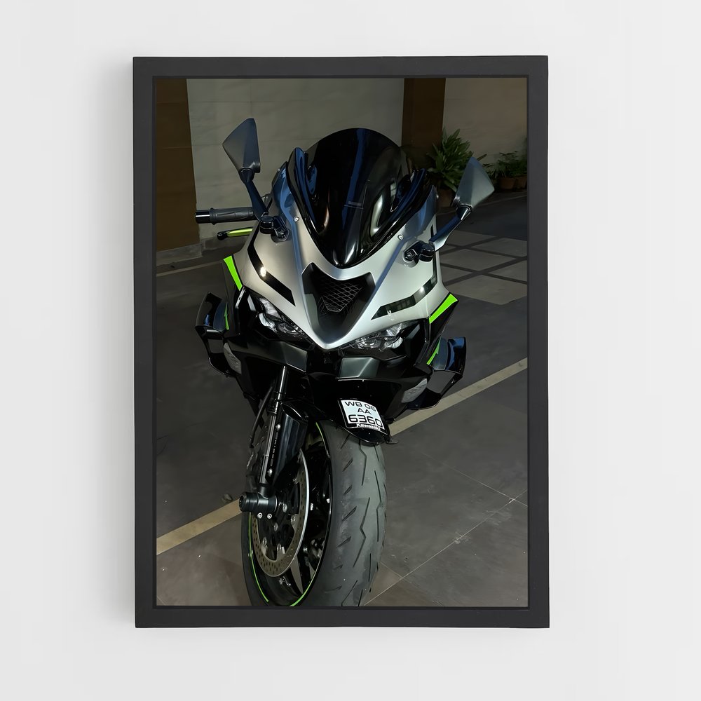 Poster du ninja énigmatique (vue 2)